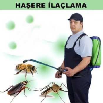 Espiye Böcek İlaçlama